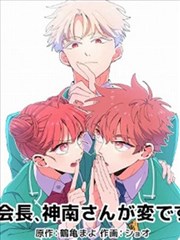 剧集目录图鉴的分类卡片示例
